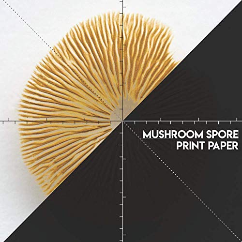 Mushroom Spore Print Paper: A Mushroom Spore Book to Make Your Own Spore Prints