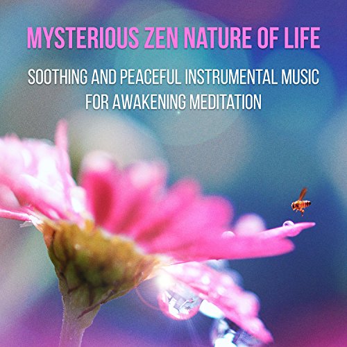 Mysterious Zen Nature of Life