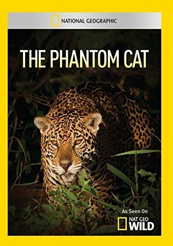 Phantom Cat / [USA] [DVD]