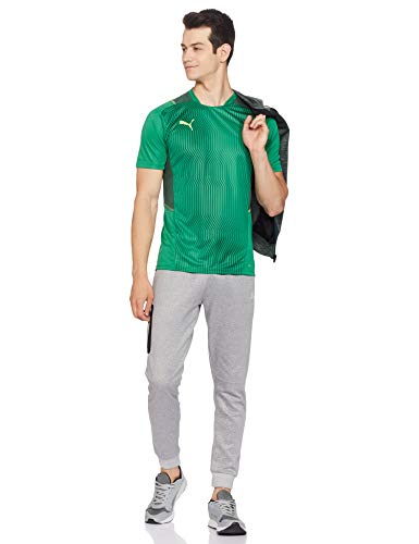 PUMA Teamcup Training Jersey Camiseta, Hombre, Green/Dark Green/Green Gecko, M
