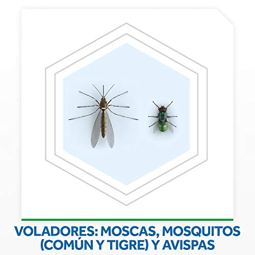 Raid - Moscas y Mosquitos, Spray Insecticida Aroma Frescor Natural, 600ml (Pack de 3)