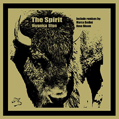 The Spirit (Marco Bedini Remix)