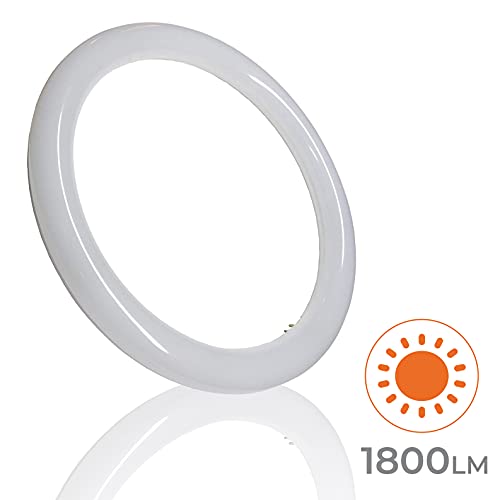Tubo Circular LED G10 18w. Color Blanco Frio (6500K,). Sin instalacion. Tubo redondo cocina. 30cm.