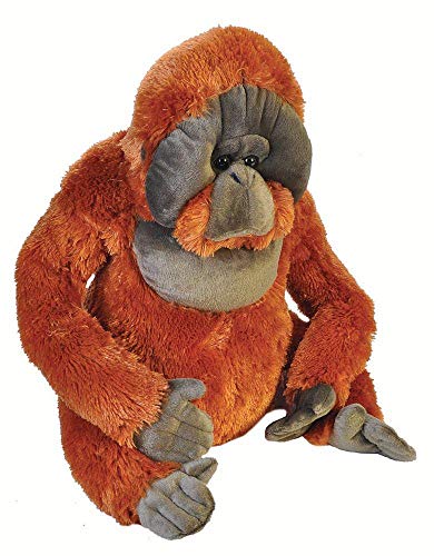 Wild Republic - Little Biggies Orangutan de peluche, 53 cm (19327)