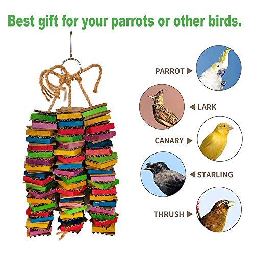 Yantan Juguete para loros GrooE VVGel cartón Big Bird juguete africano de papagayo gris juguete de madera natural con clip