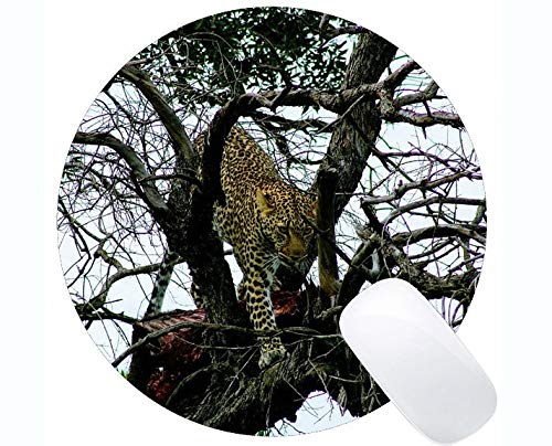 Yanteng Cojín de ratón Redondo de la Serie Original de Encargo del Leopardo, Cojines de ratón Redondos del Leopardo de la Familia del Gato del árbol