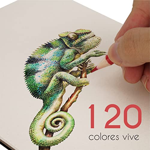 120 Lápices de Colores (Numerados) con Caja de Metal - Estuche de Lapices de Dibujo Profesional para Mandalas y Libros de colorear para Adultos