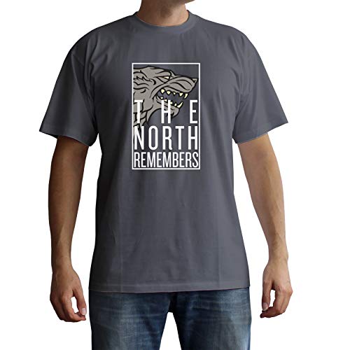 ABYstyle - Juego de Tronos - Camiseta - The North Remembers - Gris - Hombre (S)