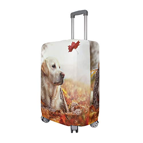 AJINGA One Autumn Leaf Wind Beautiful Dog Relax Travel Maleta Protectora para Maleta M 22-24 in