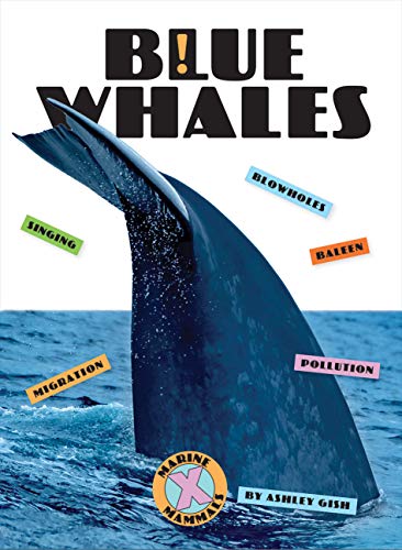 Blue Whales (X-Books: Marine Mammals)
