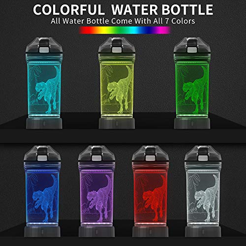 Botella de agua para niños con luz LED de dinosaurio 3D – 14 oz Tritan libre de BPA – Taza de viaje ideal creativa regalo de dinosaurio para la escuela, niño, niño, vacaciones, camping, picnic