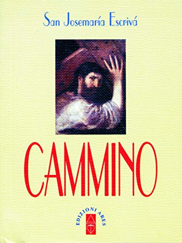 Cammino (Italian Edition)