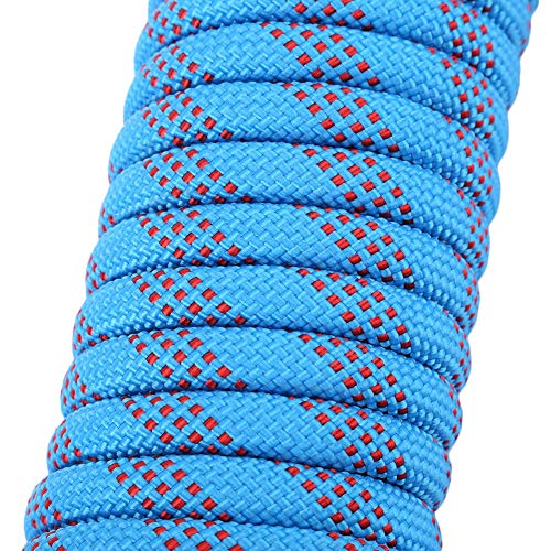 Cuerda de Escalada, Accesorio de Cuerda de 12 mm reemplazo Paracord Panchute Corad de Alta Resistencia con Hebilla Cosida y mosquetón Azul(10m)