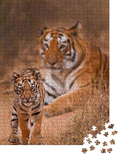 Diy Art Puzzle Adultos Rompecabezas Tigre de Bengala real con cachorro - rompecabezas clásico Clásico Puzzle Decoración -1000 piezas