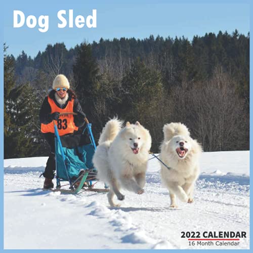 Dog Sled Calendar 2022: Official Mushing Calendar 2022, 16 Month Calendar 2022