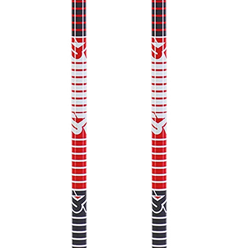 K2 10D3020.1.1.100 - Bastones de esquí para niño (100 cm), Color Gris
