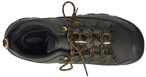 KEEN Targhee 3 Waterproof, Zapatos para Senderismo Hombre, Black Olive/Golden Brown, 48.5 EU