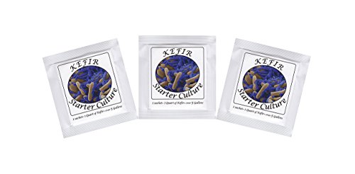 Kefir Starter Culture - Pack of 3 Freeze Dried Sachets