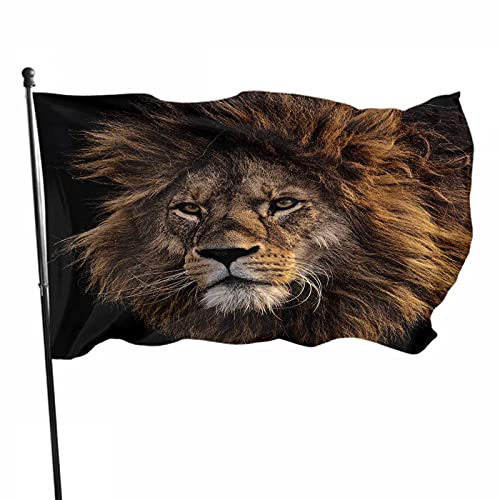 Lion Flag Decor 3x5 Ft Mane Predator Animal Cool Wildlife Furry King Face Head Naturaleza Bosque Poliéster Impreso Patrón Decoración al Aire Libre para hogares y Jardines