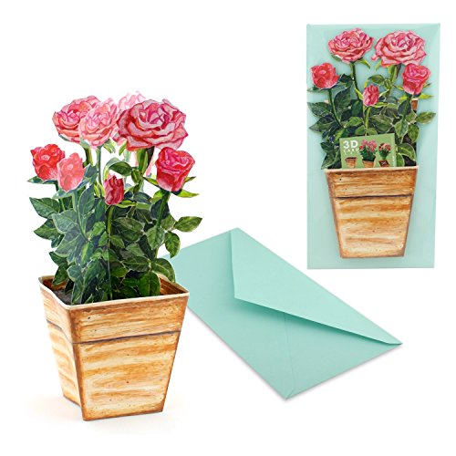 Maceta con rosas rojas,tarjeta Pop-Up en 3D, no se marchitan, ideal como tarjeta de cumpleaños o tarjeta de San Valentin