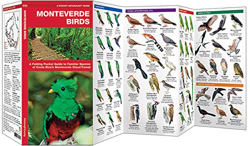 Monteverde Birds: A Folding Pocket Guide to Familiar Species of Costa Rica's Monteverde Cloud Forest (Pocket Naturalist Guide Series)