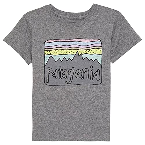 Patagonia Baby Fitz Roy Skies Organic T-Shirt Camiseta, Gravel Heather, 6 Meses Unisex bebé