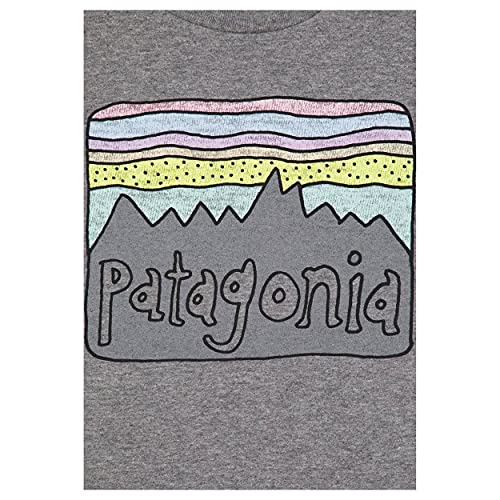 Patagonia Baby Fitz Roy Skies Organic T-Shirt Camiseta, Unisex niños, Gravel Heather, 12 Meses
