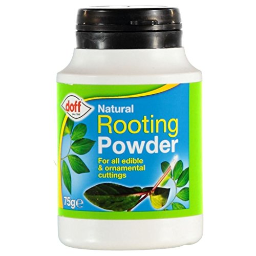 Polvo de hormonas enraizante Doff® (75 g, 2 unidades). Ayuda a las nuevas raíces en esquejes y fomenta las raíces fuertes y sanas