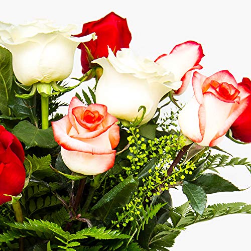Ramos de 12 rosas naturales a domicilio variado Túnez - Flores frescas - Envío a domicilio 24h GRATIS - Tarjeta dedicatoria incluida - Caja especial para ramos de flores naturales.