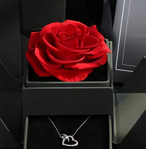 Rosa Eterna Roja en Caja joyería - Flores San Valentín - Flores preservadas Pedida de Mano, Bodas de Oro, Aniversario Pareja, Pedida de Matrimonio