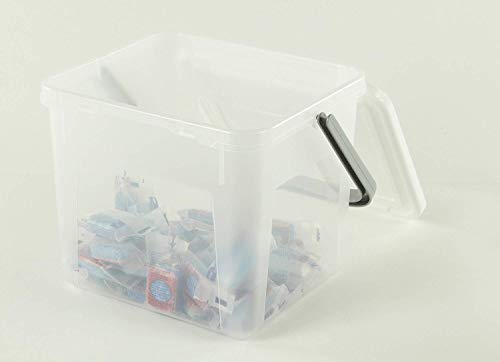 Rotho Basic, Caja de almacenamiento de 5l con tapa y asa, Plástico PP sin BPA, verde, 3kg, 5l 21.0 x 20.0 x 18.0 cm
