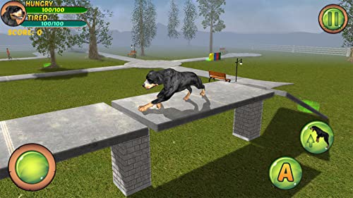 Rottweiler Dog Life Simulator