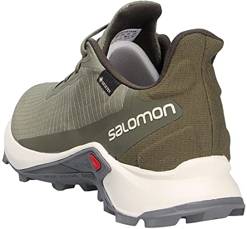 Salomon Alphacross 3 Gore-Tex Zapatos de Trail Running, Hombre, Verde (Deep Lichen Green/Vanilla Ice/Quiet Shade), 42 ⅔ EU