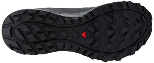Salomon Trailster 2 Gore-Tex (impermeable) Hombre Zapatos de trail running, Negro (Phantom/Ebony/Black), 42 EU