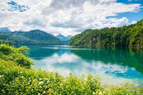 SHILIHOME Lago Alpsee Alemania Pintura por Números DIY Único