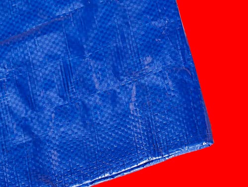 Toldo Reforzado gramaje - Lona Impermeable Reforzada Color Azul (2X3M)