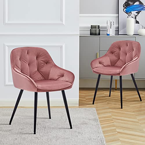 TUKAILAI 2 sillas de comedor tapizadas de terciopelo para cocina, sillón, sillas de bañera con asiento acolchado y patas de metal, sala de estar, dormitorio, hogar, muebles de recepción color rosa