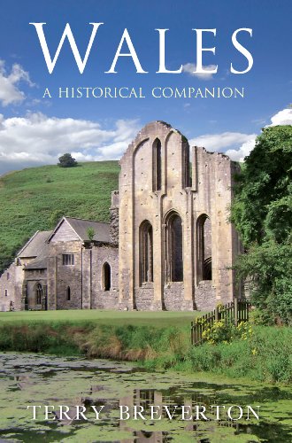 Wales: A Historical Companion (English Edition)