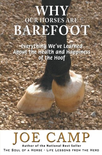 Why Our Horses Are Barefoot: Everything We’ve Learned About the Health and Happiness of the Hoof