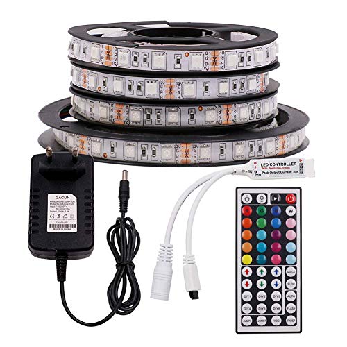 XUNATA 12V Tiras LED RGB 5050 SMD 300 LEDs Para TV Tira de Luces LED Kit Completo con control remoto de 44 teclas (Impermeable (IP65), 1m 60LEDs)
